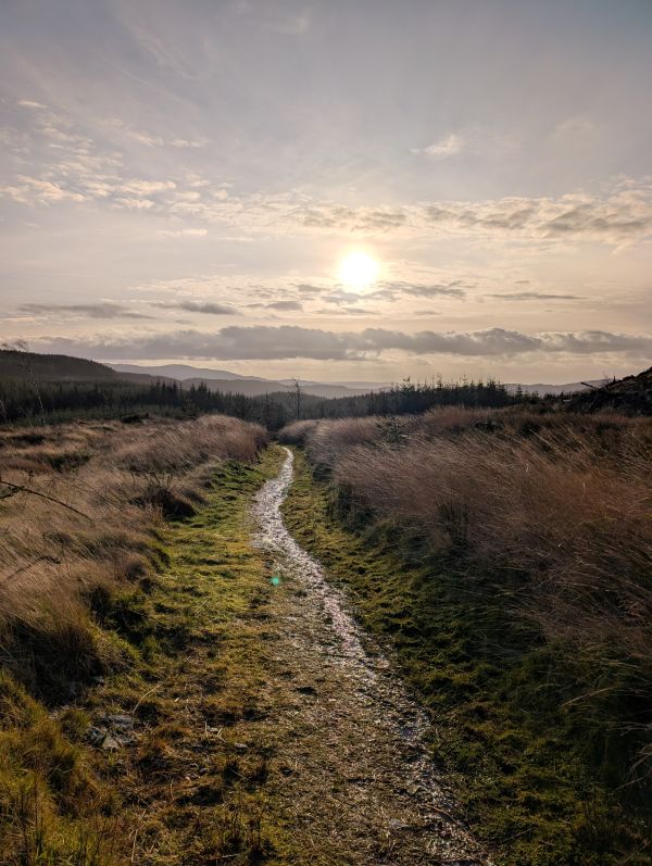 Track in winter sunshine